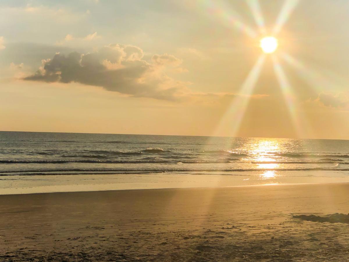 Sand Dollar Condominiums Daytona Beach Shores Kültér fotó